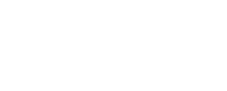 WPS Logo